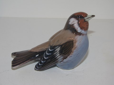 item no: 102872