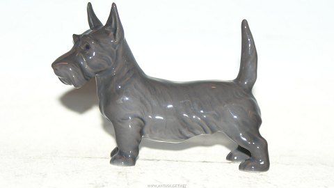 Bing & Grondahl Figurine, Scottish Terrier