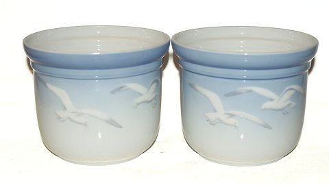 item no: 213908
