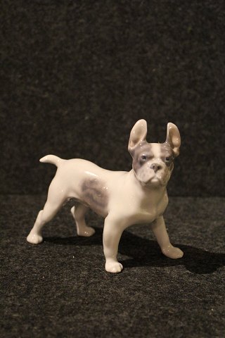 Royal Copenhagen porcelain figure of small dog.
Decoration number: 1457.