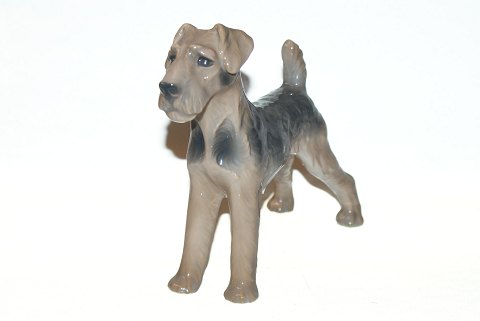 Bing & Grondahl Dog Figure, Terrier.
Decoration number 2030
Factory second
Length 21 cm.
Height 17 cm.
Perfect condition.