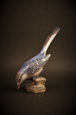 Dahl Jensen porcelain figurine of bird, Wagtail.
H: 14,5cm.
DJ# 1248.