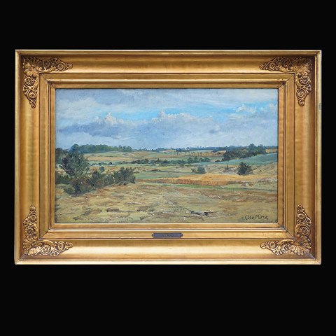 Ole Ring, 1902-72, oil on canvas. Landscape, 
Seeland. Signed. Visible size: 27x45cm. With 
frame: 41x59cm