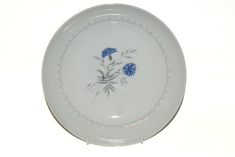 Demeter White (Cornflower), Deep Dinner Plate
Dek. No. 22
Diameter 21 cm.