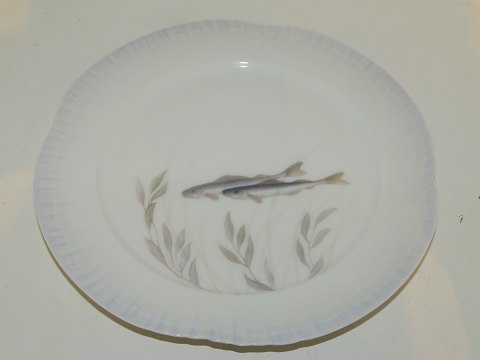 Royal Copenhagen
Fish plate 
Art Nouveau from 1898-1923