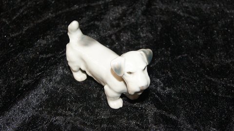 Bing & Grøndahl Figur, #Sealyham Terrier.
Dekorationsnummer 2071.
Af fabriksmærket ses det, at denne er produceret mellem 1952 og 1958.
2. sortering.
Længde 10,0 cm.