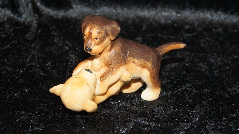 Royal Copenhagen Mini Collection
Legende Rottweiler og Golden Retriver Hvalpe.
Dek nr #746
web 13345   SOLGT