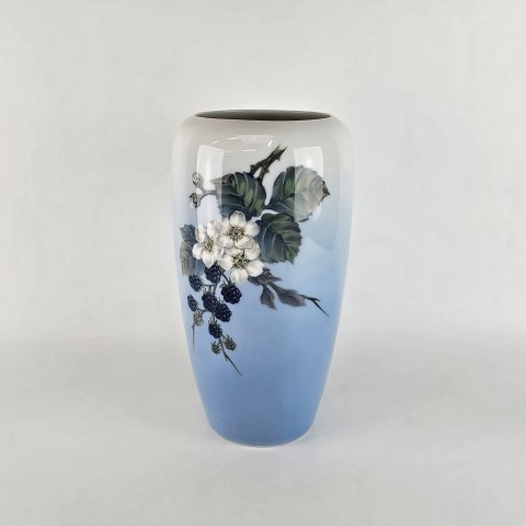 RC Vase
288/1049
Brombær