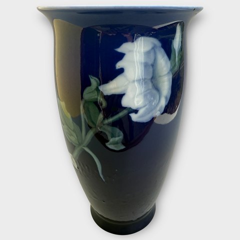 item no: 614243