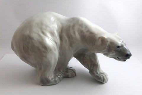 Royal Copenhagen. Porcelain figurine. Standing Polar Bear. Model 1137. Length 27 
cm. (3 quality)