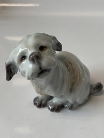 item no: 617333