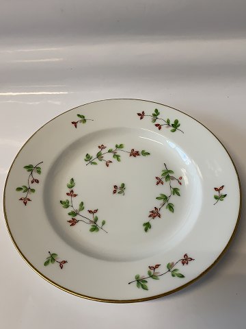 Beberis Royal copenhagen
