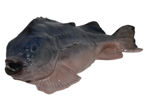 Fisk<br>Royal ...