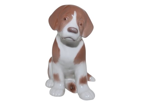 item no: 623877