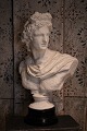 Decorative, old plaster plaster of the Roman god Apollo with a fine patina.
H:55cm. W:37cm. D:23cm.
