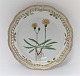 Royal Copenhagen. Flora Danica. Round serving plate with open-work border. Model 
# 3527. Diameter 29 cm.  (1 quality). Apargia Taraxaci Sm