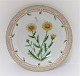 Royal Copenhagen Flora Danica. Dinner plate. Design # 3549. Diameter 25 cm. (1 
quality). Chrysanthemum segetum L