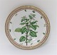 Royal Copenhagen Flora Danica. Menüe Teller. Entwurf # 3549. Durchmesser 25 cm. 
(1 Wahl). Solanum nigrum L