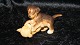 Royal Copenhagen Mini Collection
Legende Rottweiler og Golden Retriver Hvalpe.
Dek nr #746
web 13345   SOLGT