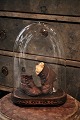 Dekorativ , gammel fransk oval glas globe på træ bund ...