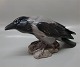 B&G 1714 Crow  17 cm 33 cm