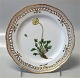 Flora Danica Danish Porcelain RC 20 
-3554 "Papaver Nudieaule L" Pierced Lunch Plate  9"