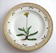 Royal Copenhagen, Flora Danica. Middags tallerken. Design #3549. Diameter 25 cm. 
(1 sortering). Leontodon hispidum L