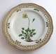 Royal Copenhagen, Flora Danica. Frokost tallerken med gennemskåret bort. Design 
#3554. Diameter 23 cm. (1 sortering). Papaver nudicaule L