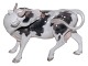 Antik K 
presents: 
Large Bing 
& Grondahl 
figurine
Cow licking 
its side