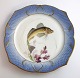 Royal Copenhagen. Fiskestel No.19. Model 3002. Diameter 22,5 cm. Trigla 
gurnardus. Produceret før 1923. (1 sortering)