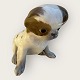 Royal 
Copenhagen
Pekingeser 
hvalp
# 1453/448
650kr