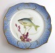 Royal Copenhagen. Fiskestel No.19. Model 3002. Diameter 22,5 cm. Leuciscus 
cærulens. Produceret før 1923. (1 sortering)