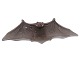 Royal 
Copenhagen tray
Bat