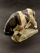 Bornholm Soholm 
bull