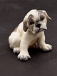 Dahl Jensen  
Fransk Bulldog 
hvalp, nr. 1139