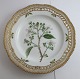 Royal Copenhagen. Flora Danica tallerken med gennemskåret bort. Diameter 25 cm. 
Model 3553. ( 1 sortering ). Rubus villicanlis Köhl