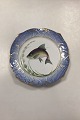 Danam Antik præsenterer: Royal Copenhagen Blåt Fiskestel Tallerken No. 19/3002