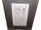 Hans Bellmer raderingErotisk anatomistudie