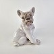 Kinnerup Antik & Porcelæn præsenterer: B&G Figur 1983Fransk Bulldog12 cm