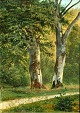 Schovelin, Axel (1827 - 1893) Danmark: Træer i en skov.