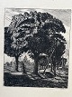 Ole Buus Larsen præsenterer: Radering af Poul S. Christiansen - Landevej forbi Karise 1899.