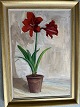 Ole Buus Larsen præsenterer: Maleri af Domenico Inganni 1950 - Amaryllis i potte.