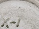 sub: 4