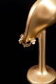 sub: 5