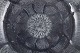 sub: 2