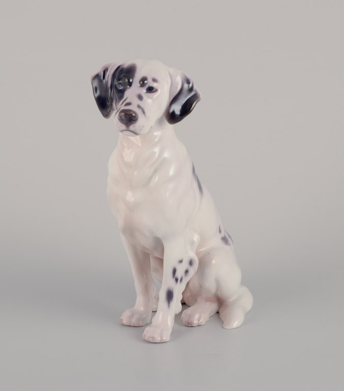 Bing og Grøndahl. Porcelænsfigur af engelsk setter. Sjælden figur.